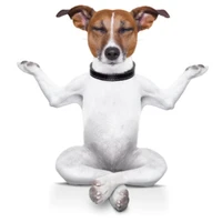 Sonia's Yoga
