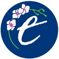 Envision Physiotherapy