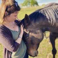 Of Horses And Des Hommes, Equicoaching
