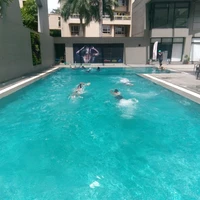 Michael Phelps Swimming at Willingdon Gymkhana