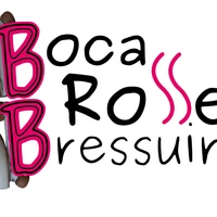 Boca Roller Bressuirais