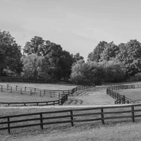 Stirling Hill Farm