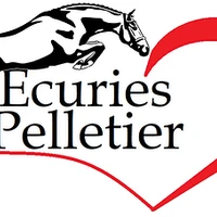 Pony Club Du Fourneau Ecuries Pelletier