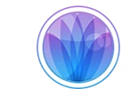 NeoYogic Movement