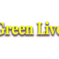 Smiths Green Livery & Riding Centre