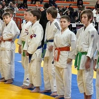 ARTS MARTIAUX VIRIAT