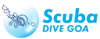 Scuba Diving Goa