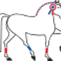 PONEY CLUB CENTRE EQUESTRE DE JEUMONT