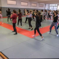 Ladies System Defense Self Défense Pour Femmes