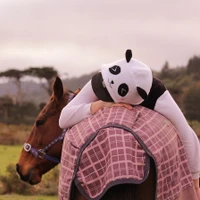 Littleriver Equestrian