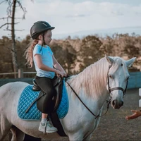 Godwin Equestrian