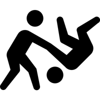 Judo Club De Vienne