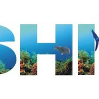 Paradise Fishing Charters Gold Coast