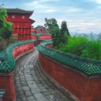 Qi Gong Association Lila