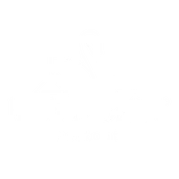 Healthy Ballet