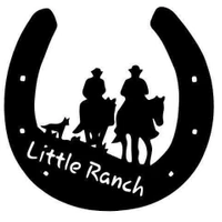 Little Ranch Horse Riding Lessons