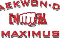 Taekwon-Do Maximus