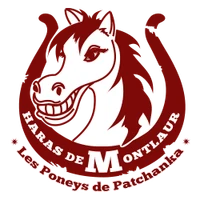 Les Poneys De Patchanka