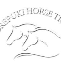 Orepuki Horse Treks