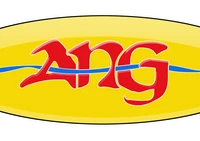 Association de Natation Giffoise