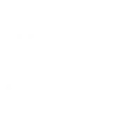 Leading Martial Arts