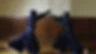 Meirinkan Bedford Kendo Club