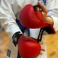 North Kent Martial Arts