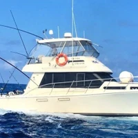 Hot Fishing Charters
