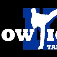 Shadowkicks Taekwondo