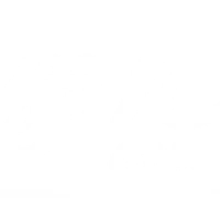 100% Martial Arts & Fitness - Nepean