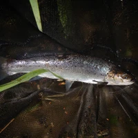 DSAA Fishing clubhouse