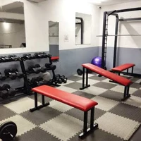 Dragon Fitness