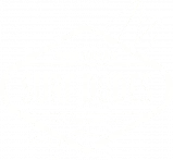 Surf Dudes - Surfing Membership Site