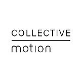 Collective Motion