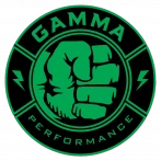 GAMMA Performance