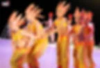 Ballet School L'albatros