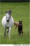 Equestrian Center La Valade