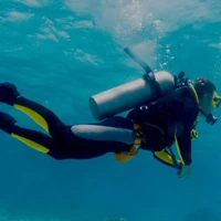 Scuba Evolution India Pvt Ltd