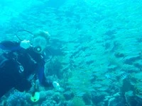 Tiverton Sub Aqua Club
