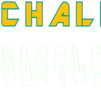 Laser Game extérieur entre NANTES et CHOLET / ARENA-CHALLENGE