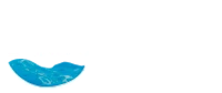 BALDELLI PISCINES