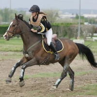 Equestrian Center L'eperon