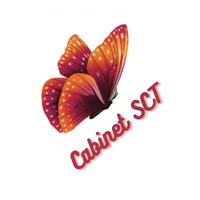 Cabinet SCT