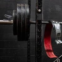 Forge Performance & Fitness