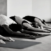 Namaste Yoga Wellness