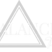 BALANCE BJJ