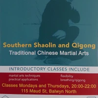 Southern Shaolin And QiGong Club