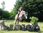 ECOLE D EQUITATION LA CHATAIGNERAIE