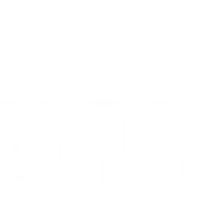 Gymnasia
