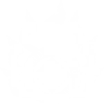 Chao Phraya Muay Thai Academy